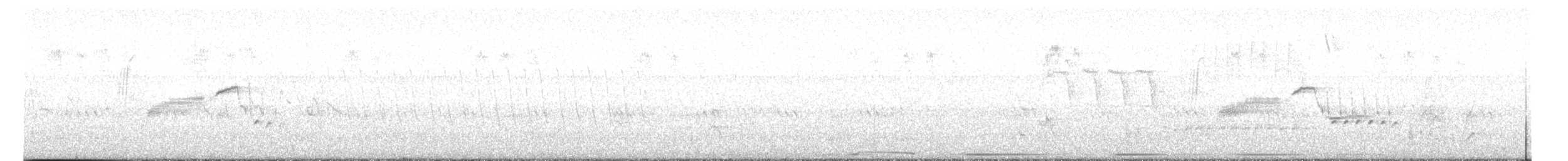 Mourning Dove - ML619814013