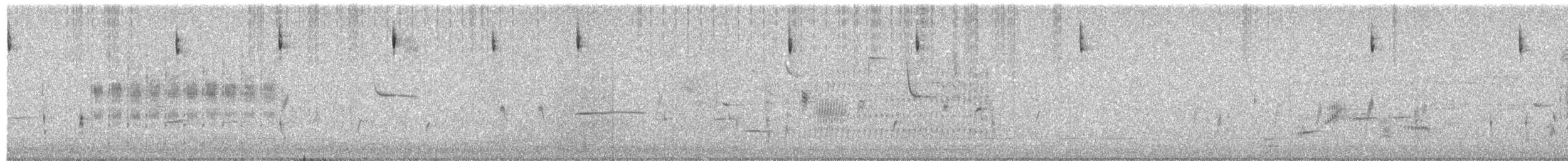 Troglodyte des marais - ML619814061