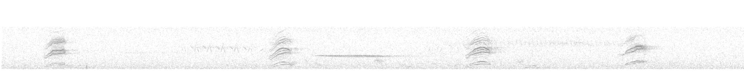 Дрізд-короткодзьоб плямистоволий - ML619815246