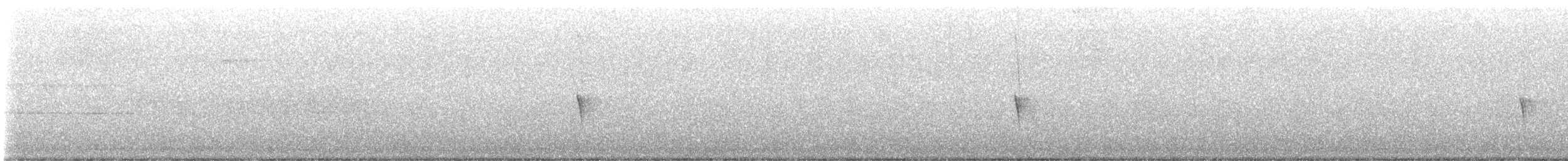 Светлобрюхий фиби - ML619816006