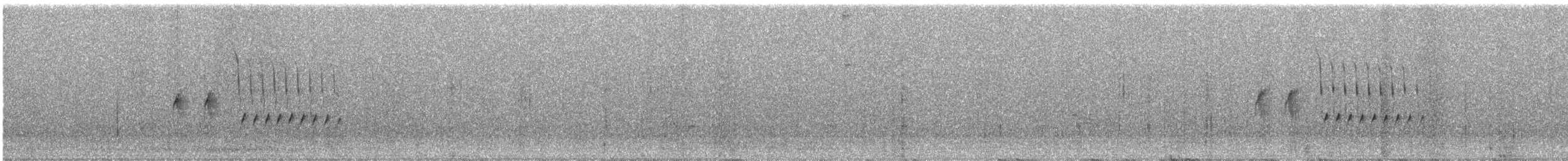 Тауї плямистий - ML619816708