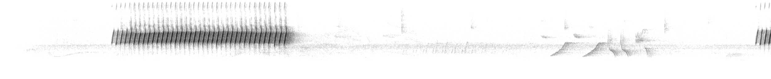 Cırcır Sesli Serçe - ML619816930