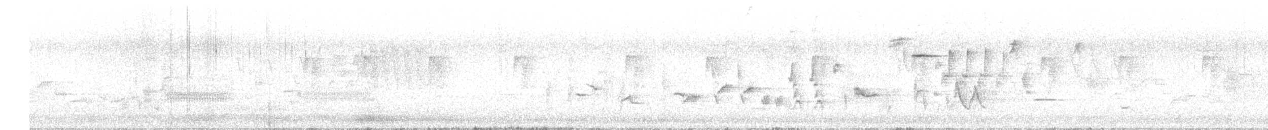 Oriole des vergers - ML619817067