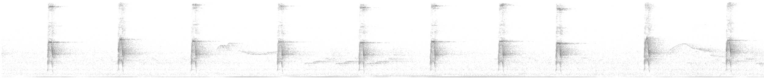 strakapoud americký - ML619817143
