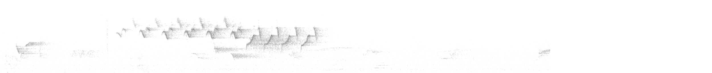 Paruline noir et blanc - ML619817171