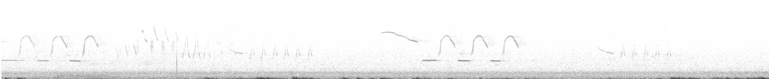 Troglodyte de Bewick - ML619817194