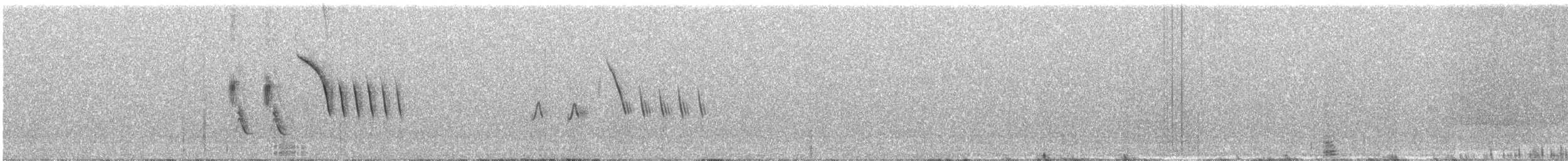 Тауї плямистий - ML619817220