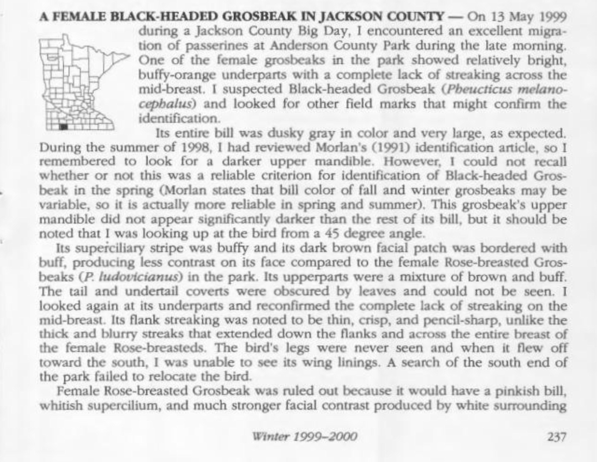 Black-headed Grosbeak - ML619817547