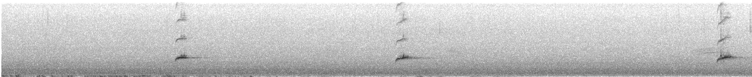 Дрізд-короткодзьоб Cвенсона - ML619817754