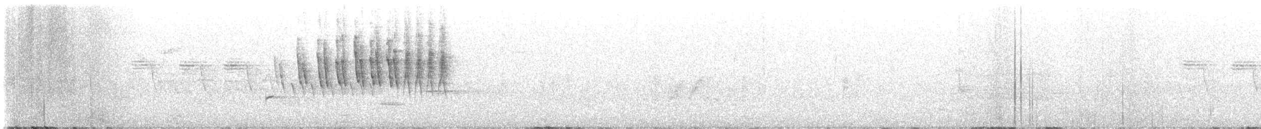 Малая вильсония - ML619818441