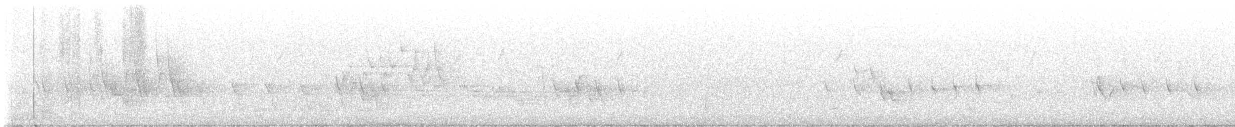 Шишкар ялиновий - ML619819013