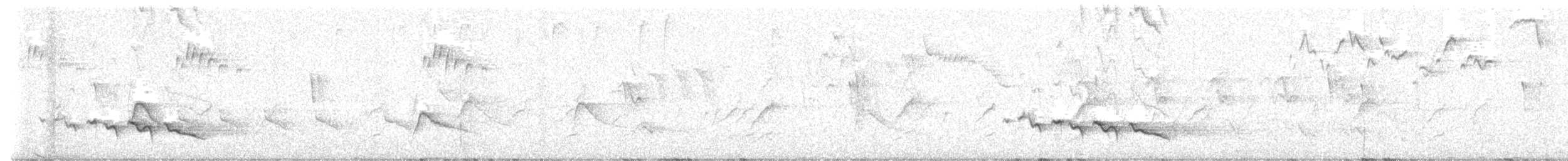 Kara Gagalı Koca Vireo - ML619819684