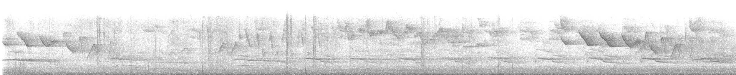 Трясогузковый певун - ML619820141