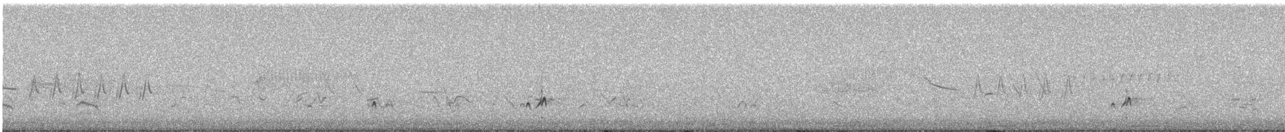 Копетон світлочеревий - ML619820482