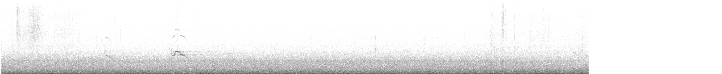 アメリカマダラウミスズメ - ML619820560