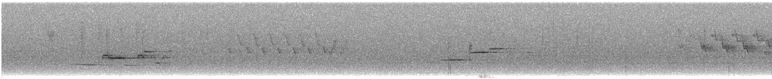 Дрізд-короткодзьоб плямистоволий - ML619820679