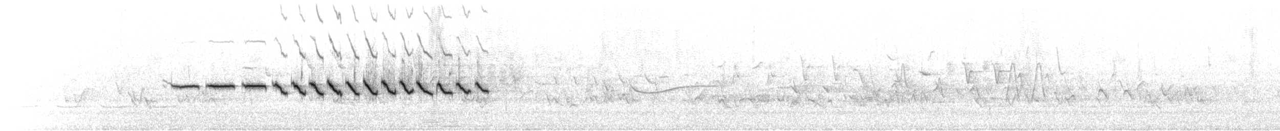 Карнатка польова - ML619820751