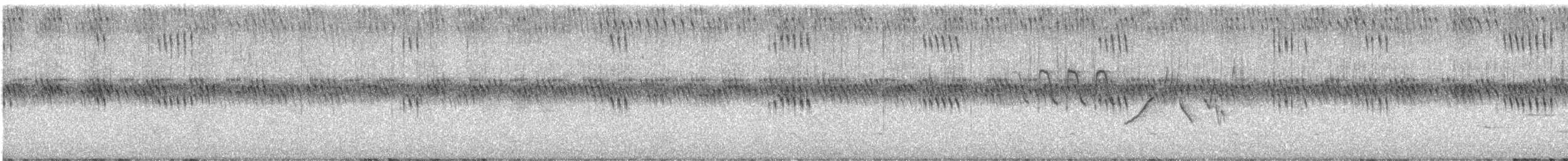 Hybride Passerin azuré x P. indigo - ML619820815