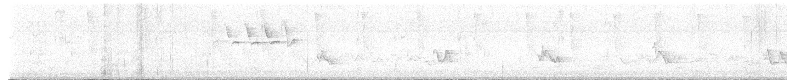 Дрізд-короткодзьоб Cвенсона - ML619821366