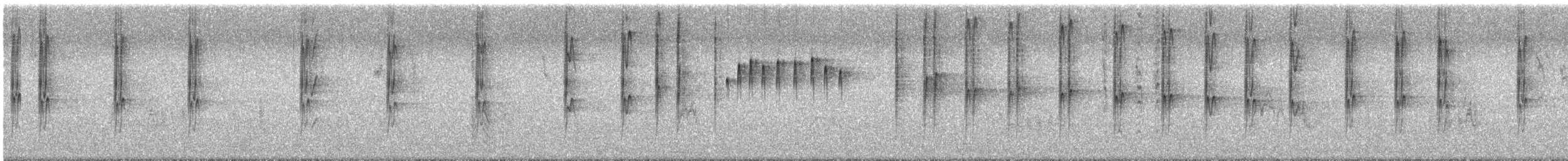 Streifenbrust-Uferwipper - ML619821442