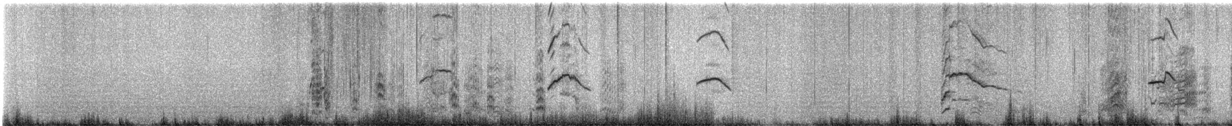 Silver Gull - ML619821609