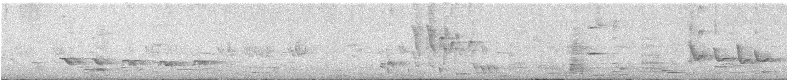 Дууч хөөндэй - ML619822080