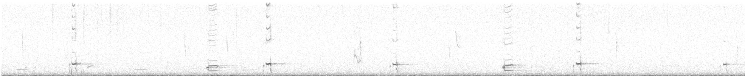 シラヒゲオタテドリ - ML619822372