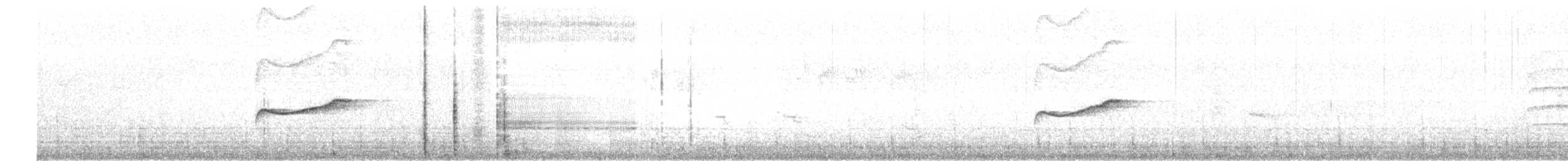 ub. pivi (Contopus sp.) - ML619824002
