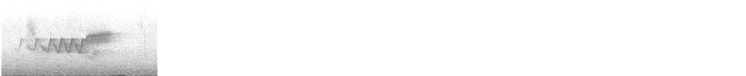Cerulean Warbler - ML619824070