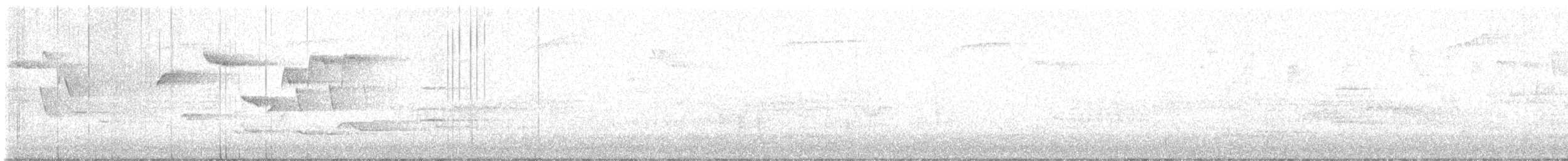 střízlík obecný (ssp. indigenus) - ML619824186