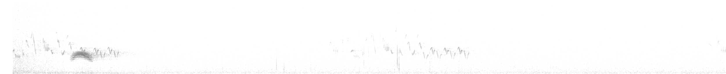 Серогрудый тиранн - ML619824648