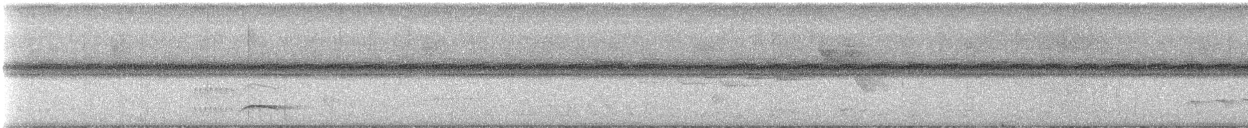 Тиран-плоскодзьоб малий - ML619825608