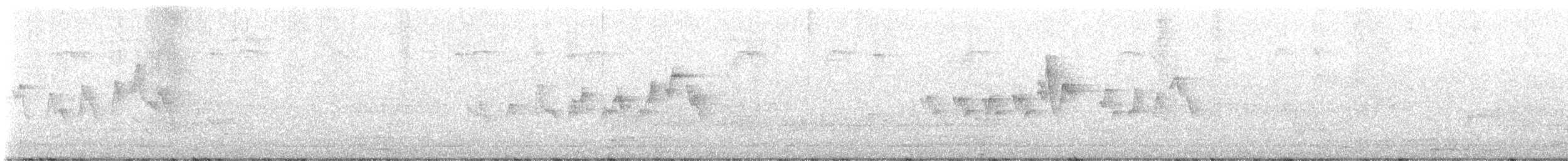 Magnolia Warbler - ML619825964