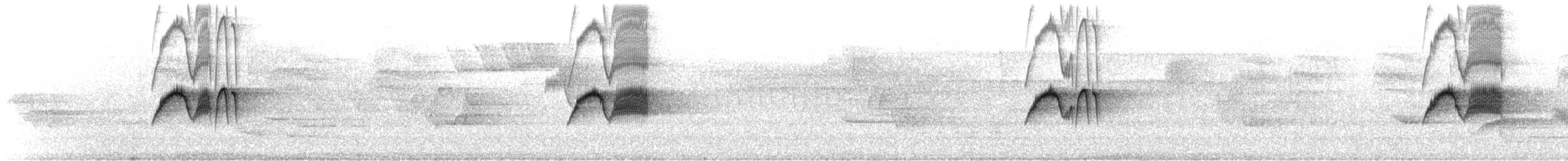 Светлобрюхий фиби - ML619829007