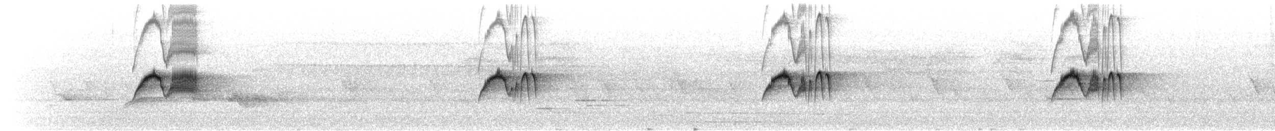 Светлобрюхий фиби - ML619829194
