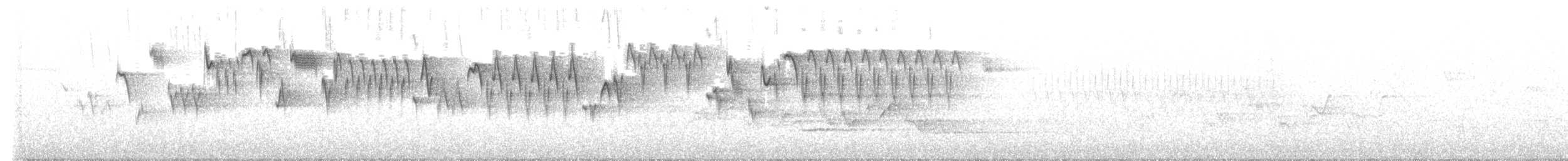 Troglodyte de Baird - ML619829493
