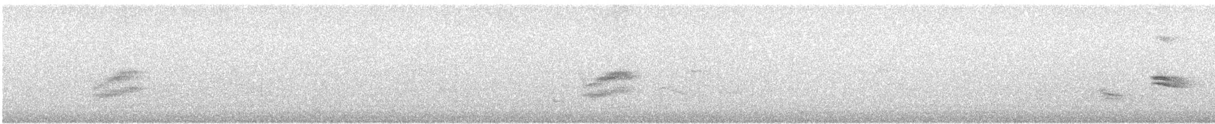 Тауї плямистий x східний - ML619829499