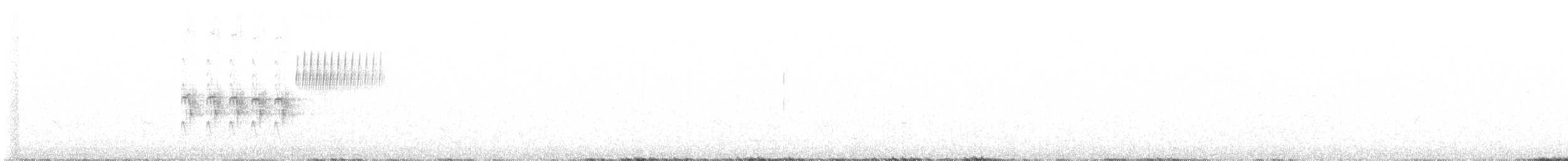 Тауї плямистий [група maculatus] - ML619829636