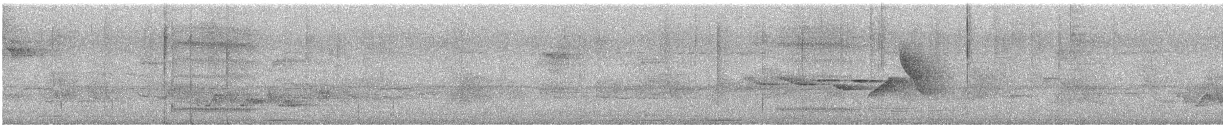 Серогрудый крючкоклюв - ML619830017
