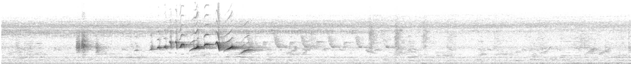 Чернокрылый личинкоед-свистун - ML619830038