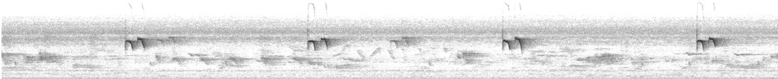 Mor Sokumlu Nektarkuşu - ML619830107