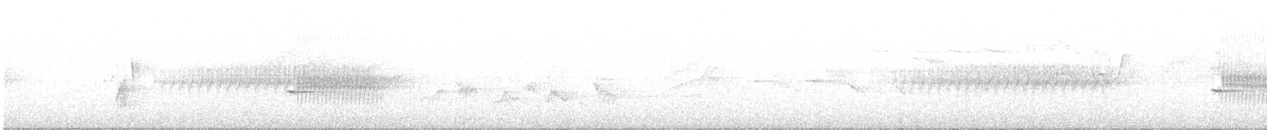ハモンドメジロハエトリ - ML619830220