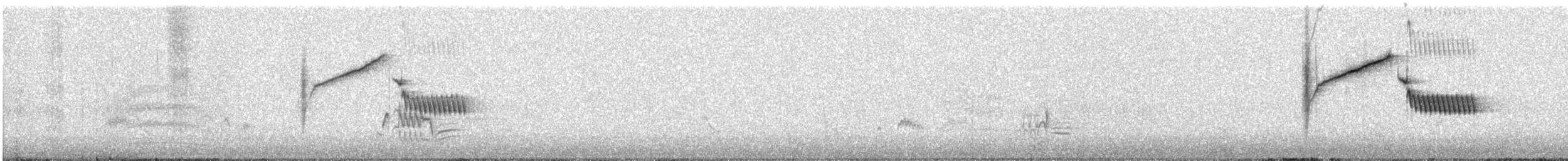 Troglodyte de Bewick (groupe mexicanus) - ML619830970
