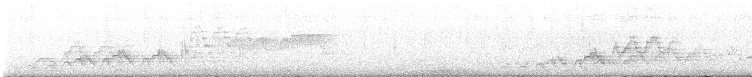 Дрізд-короткодзьоб Cвенсона - ML619832490