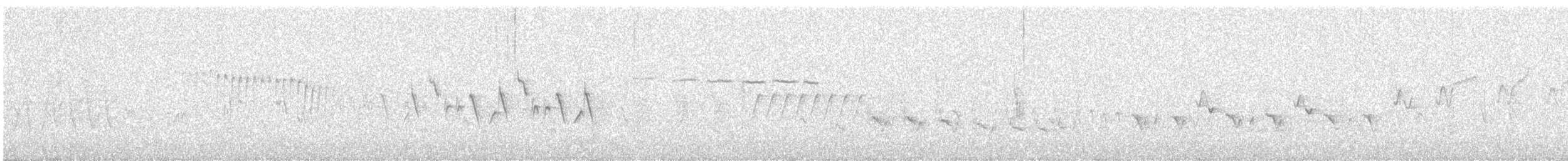 Дрізд-короткодзьоб плямистоволий - ML619832494