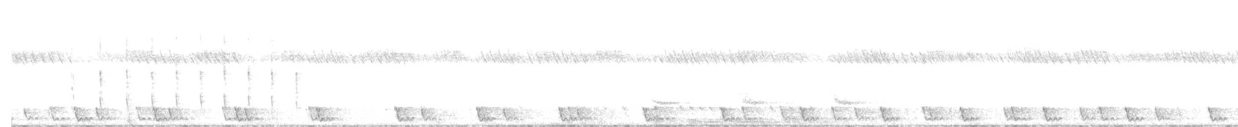 Large-tailed Nightjar - ML619832802