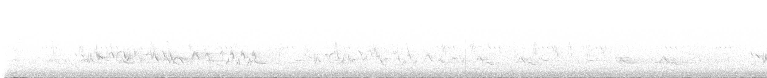 Cassin's Finch - ML619832832