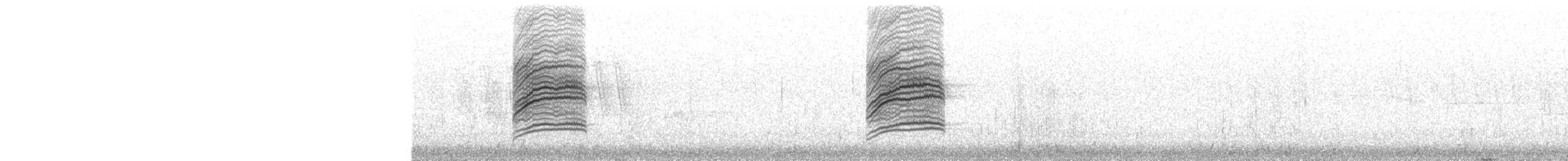 Дрізд-короткодзьоб плямистоволий - ML619833650