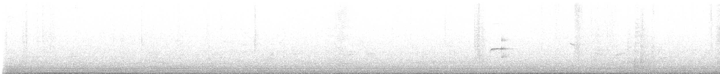 Тиранчик-тонкодзьоб північний - ML619833670