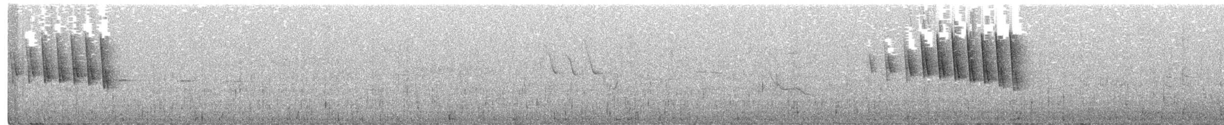 Малая вильсония (chryseola) - ML619833942
